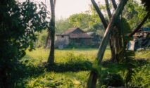 Beli Tanah di Desa Untuk Investasi 2027, Untung Jangka Panjang atau Rugi? (Sumber gambar:   Souvik Dutt via pexels)