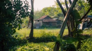 Beli Tanah di Desa Untuk Investasi 2027, Untung Jangka Panjang atau Rugi? (Sumber gambar:   Souvik Dutt via pexels)