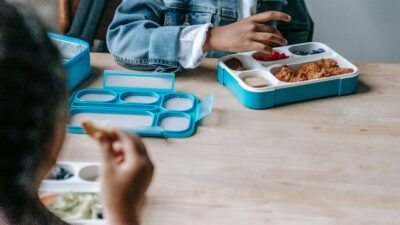 Ide Bekal Sehat Seminggu