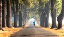 5 Ritual Simple Life yang Bikin Mental Lebih Tenang Tanpa Harus Healing Mahal (Sumber foto: Quang Nguyen Vinh via pexels)
