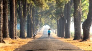 5 Ritual Simple Life yang Bikin Mental Lebih Tenang Tanpa Harus Healing Mahal (Sumber foto: Quang Nguyen Vinh via pexels)